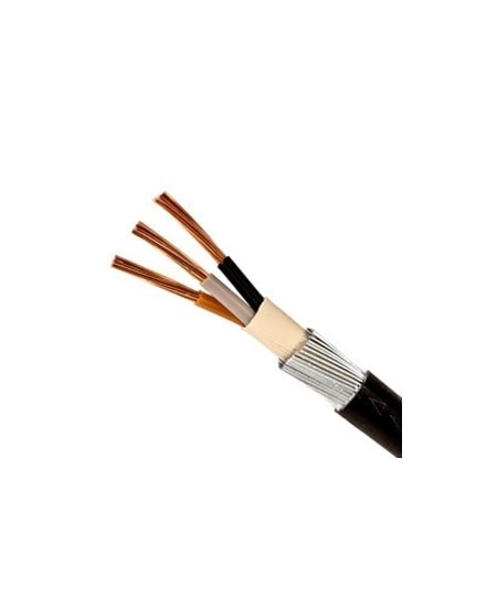 Finolex's 1 Mtr Aluminium Armoured LT Cable - 3 Core - 4 sq.mm