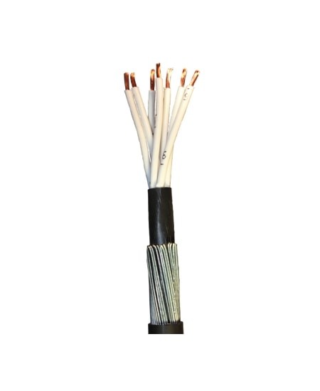 Finolex's 1 Mtr Copper Armoured LT Cable - 10 Core - 1.5 sq.mm