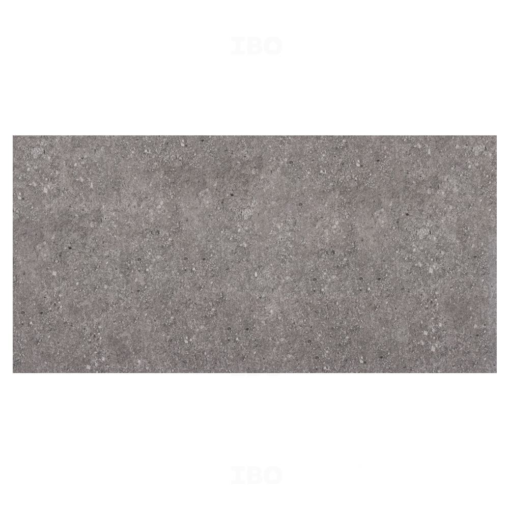 Kajaria Sofia Dark Glossy 600 mm x 300 mm Ceramic Wall Tile