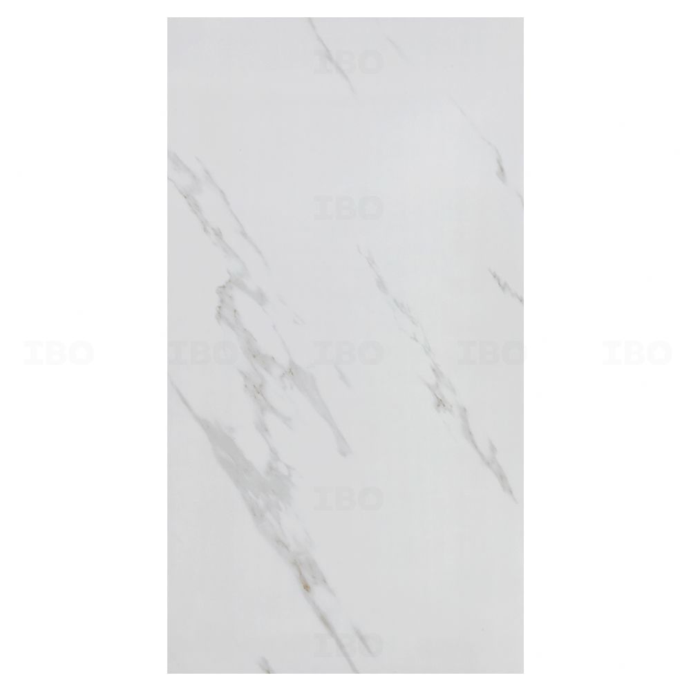 Shreeji Bianco Stone Glossy 1200 mm x 600 mm GVT Tile