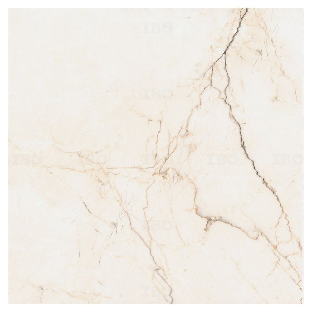 Somany Duragres Valor Segesta Bianco FP Glossy 600 mm x 600 mm GVT Tile